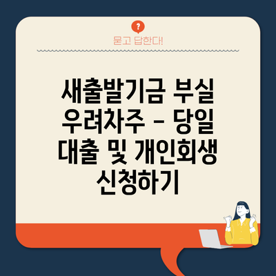 새출발기금 부실 우려차주 – 당일 대출 및 개인회생 신청하기