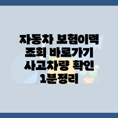 자동차 보험이력 조회 바로가기 사고차량 확인 1분정리