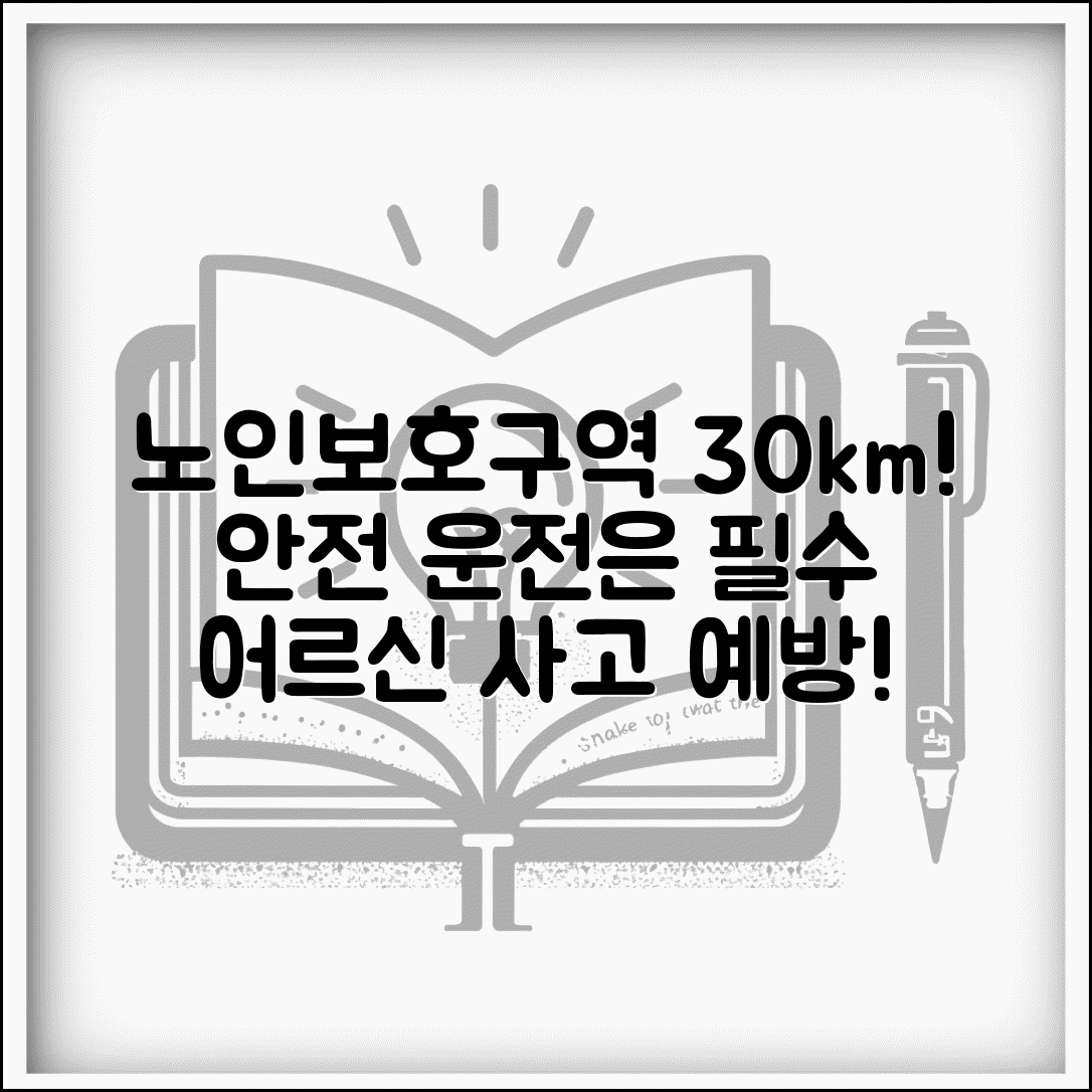 노인보호구역 속도 제한 30km 준수 | 안전 운전 의무와 어르신 교통사고 예방 중요성