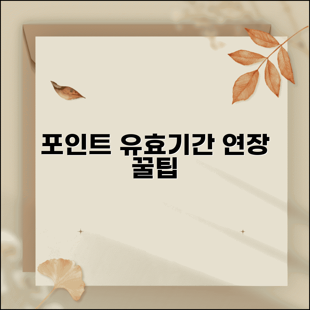 포인트 기간 연장 방법과 유효기간 총정리