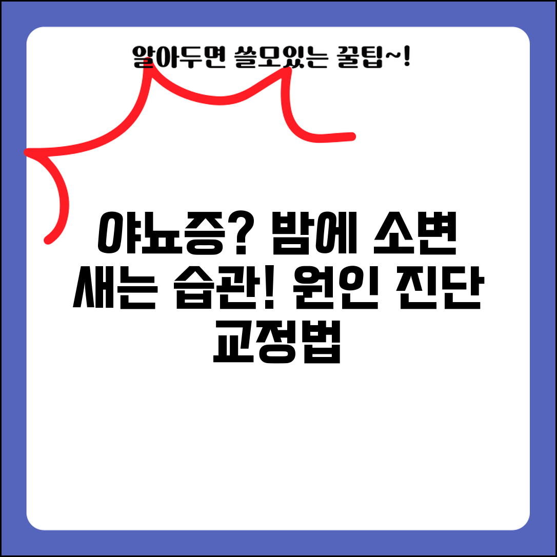성인 야뇨증 원인 진단 및 밤에 소변 지림 증상 | 밤에 새는 습관 교정 방법