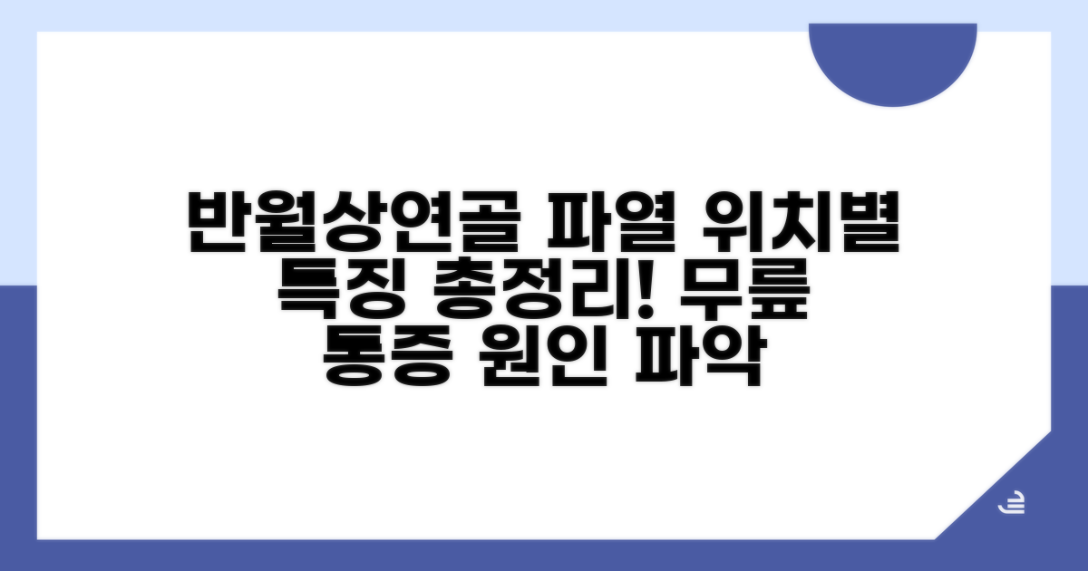내측/외측 반월상연골파열 위치별 특징