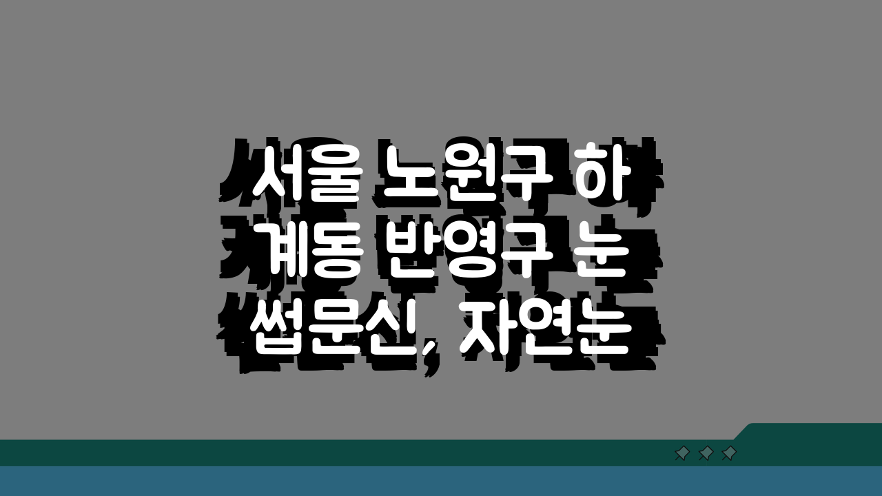 서울 노원구 하계동 반영구 눈썹문신, 자연눈썹 수정횟수와 생생한 시술후기 공개!