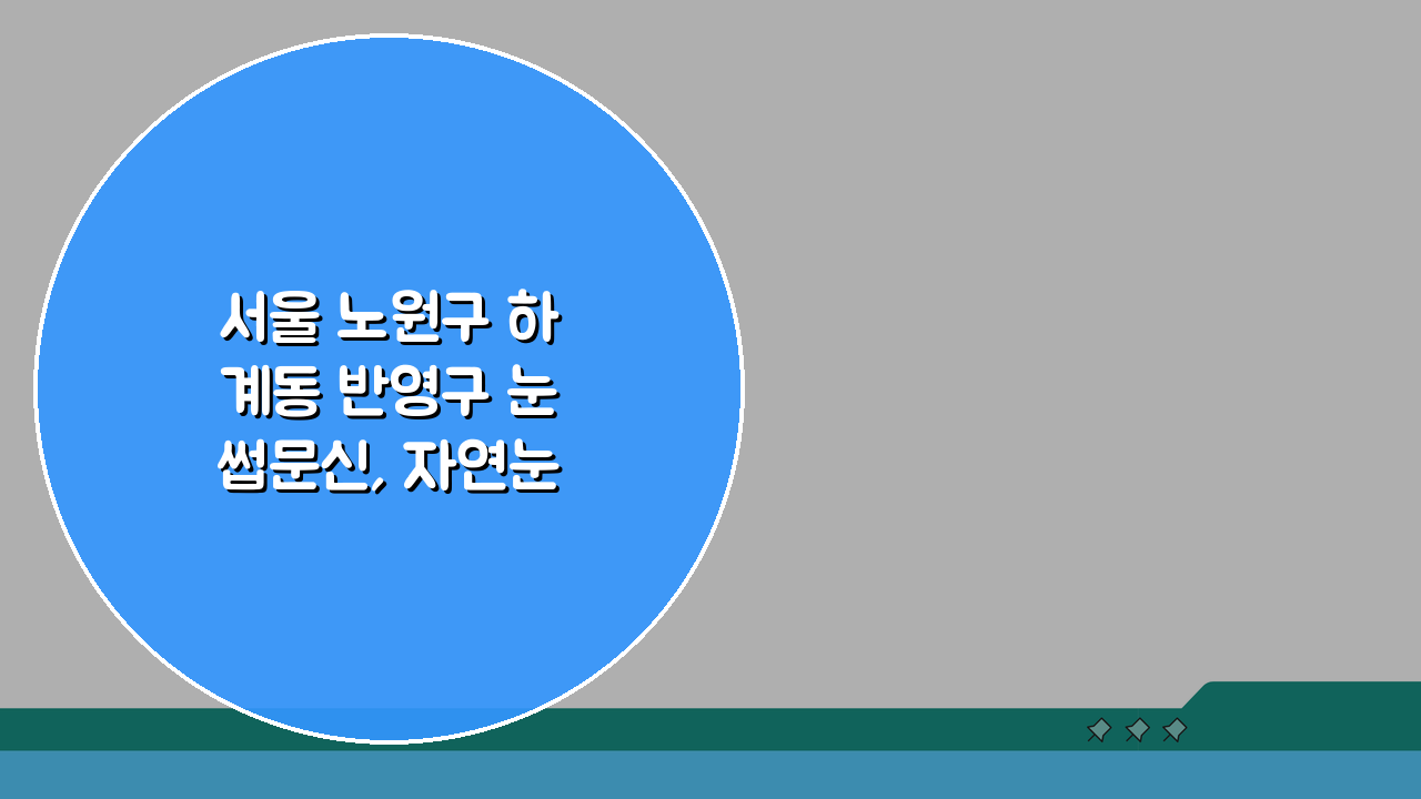 서울 노원구 하계동 반영구 눈썹문신, 자연눈썹 수정횟수와 생생한 시술후기 공개!
