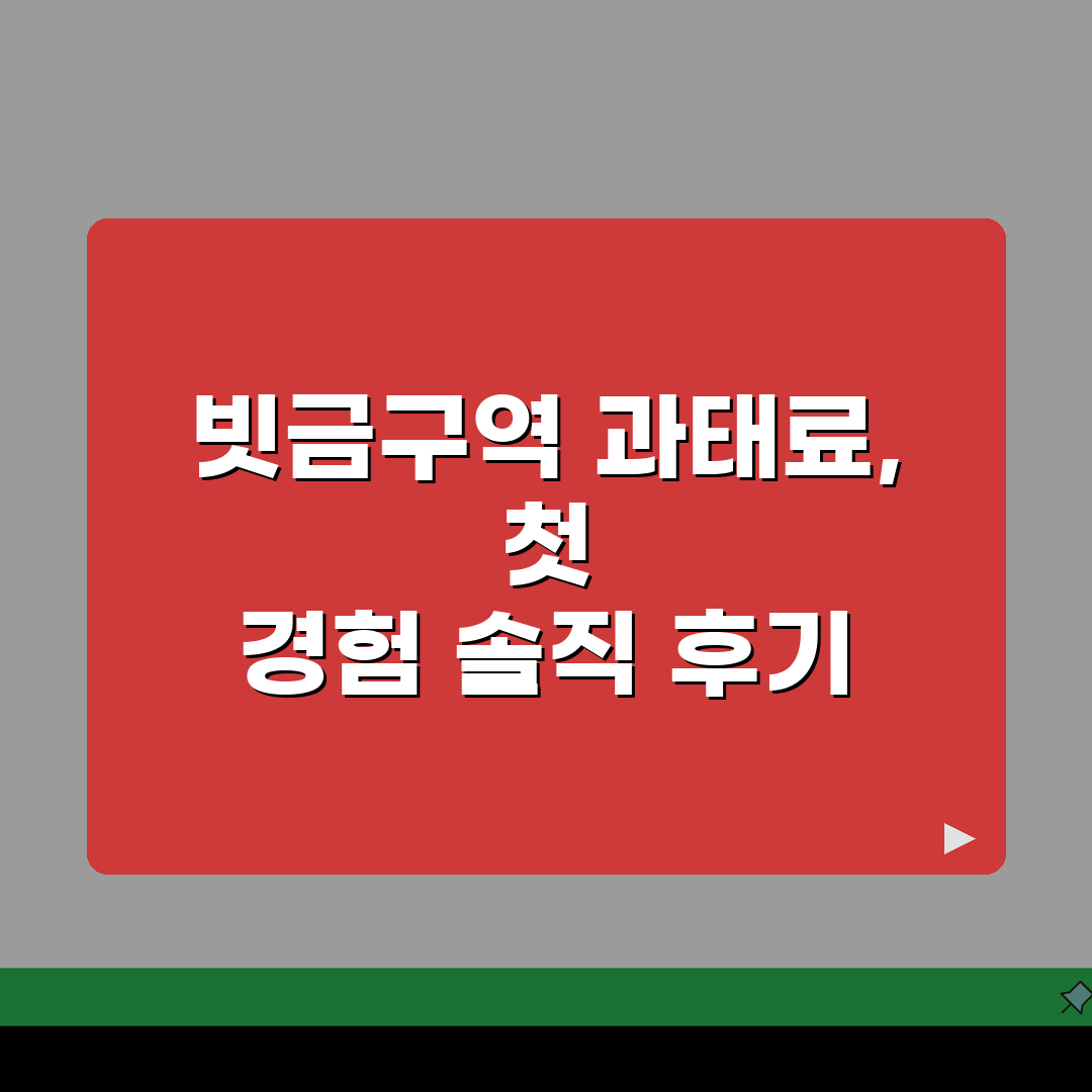 도로 빗금구역 과태료 체계 | 위반유형/금액/납부방법 + 이의제기 절차 직접 해봤어요