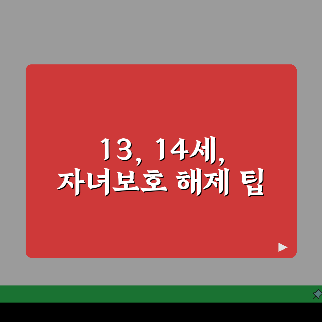 자녀보호기능 해제 나이 13세 14세 | 자녀보호 해제 나이 완벽 가이드 직접 해봤어요