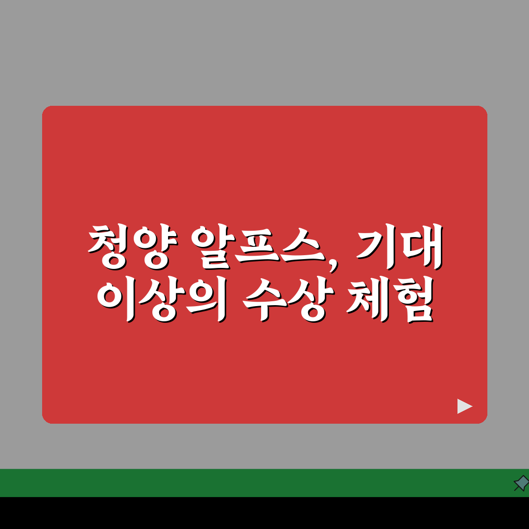 청양 알프스마을 수상레저 체험 | 여름철 수상스포츠 프로그램 안내 직접 해봤어요