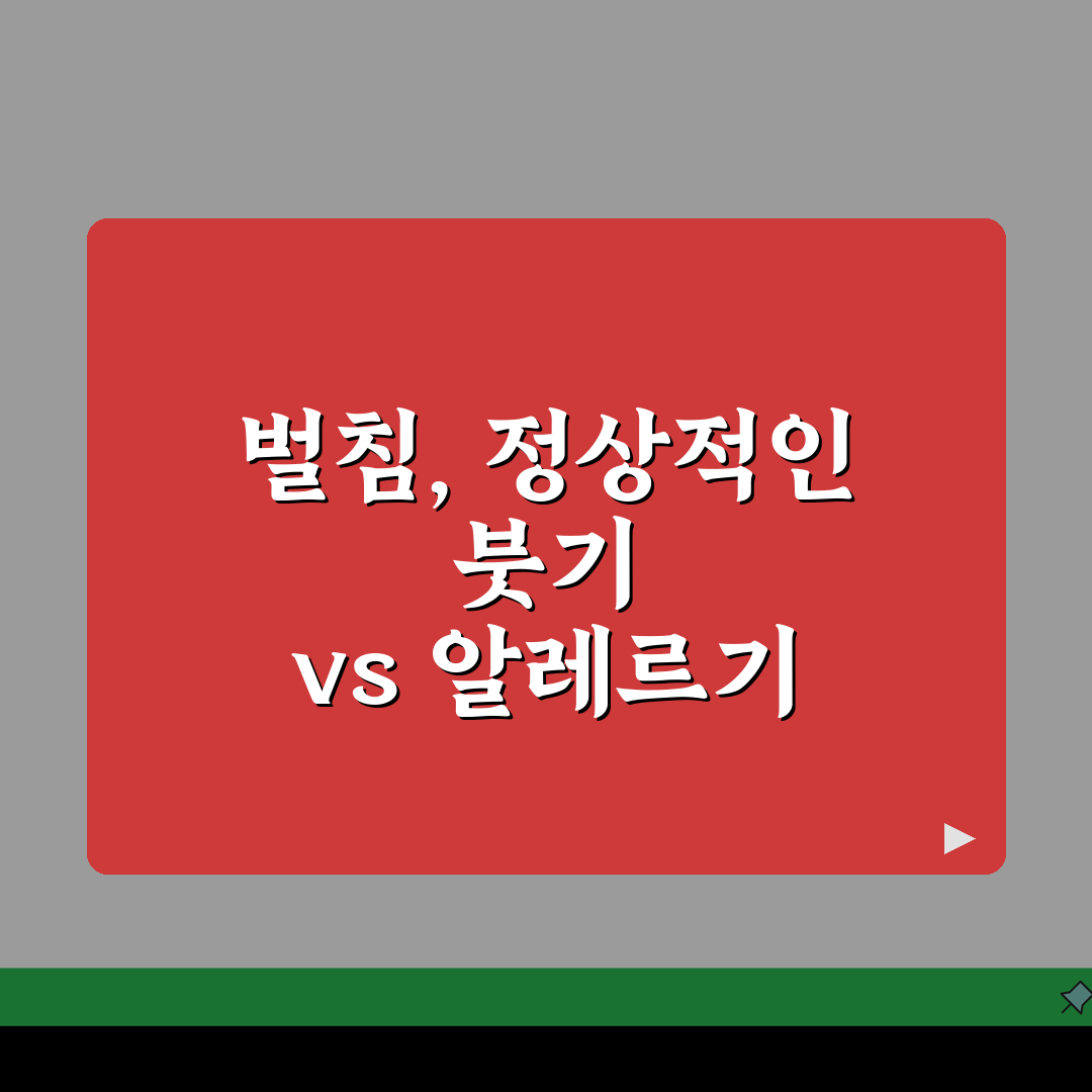 벌에 쏘였을 때 부어오르면? 알레르기 vs 정상 반응 구분법