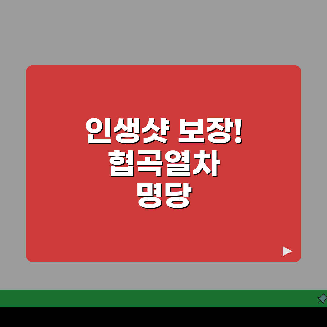 백두대간 협곡열차 베스트 촬영 포인트 | 인생샷 남기는 정확한 위치 공유해요!