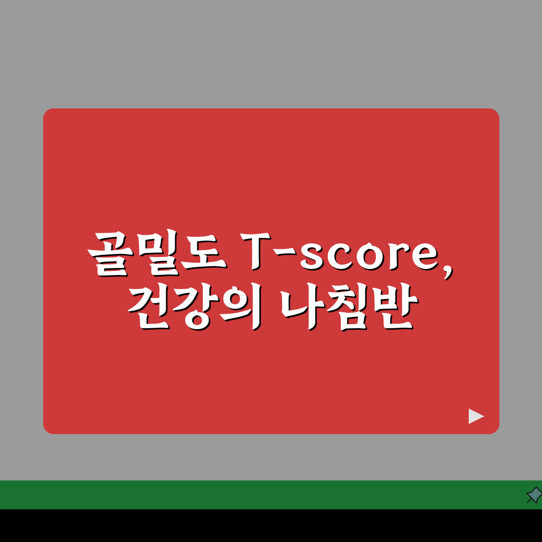 건강검진 골밀도 검사 T-score 해석 | 골다공증 진단 기준 수치 꿀팁 공유해드려요!