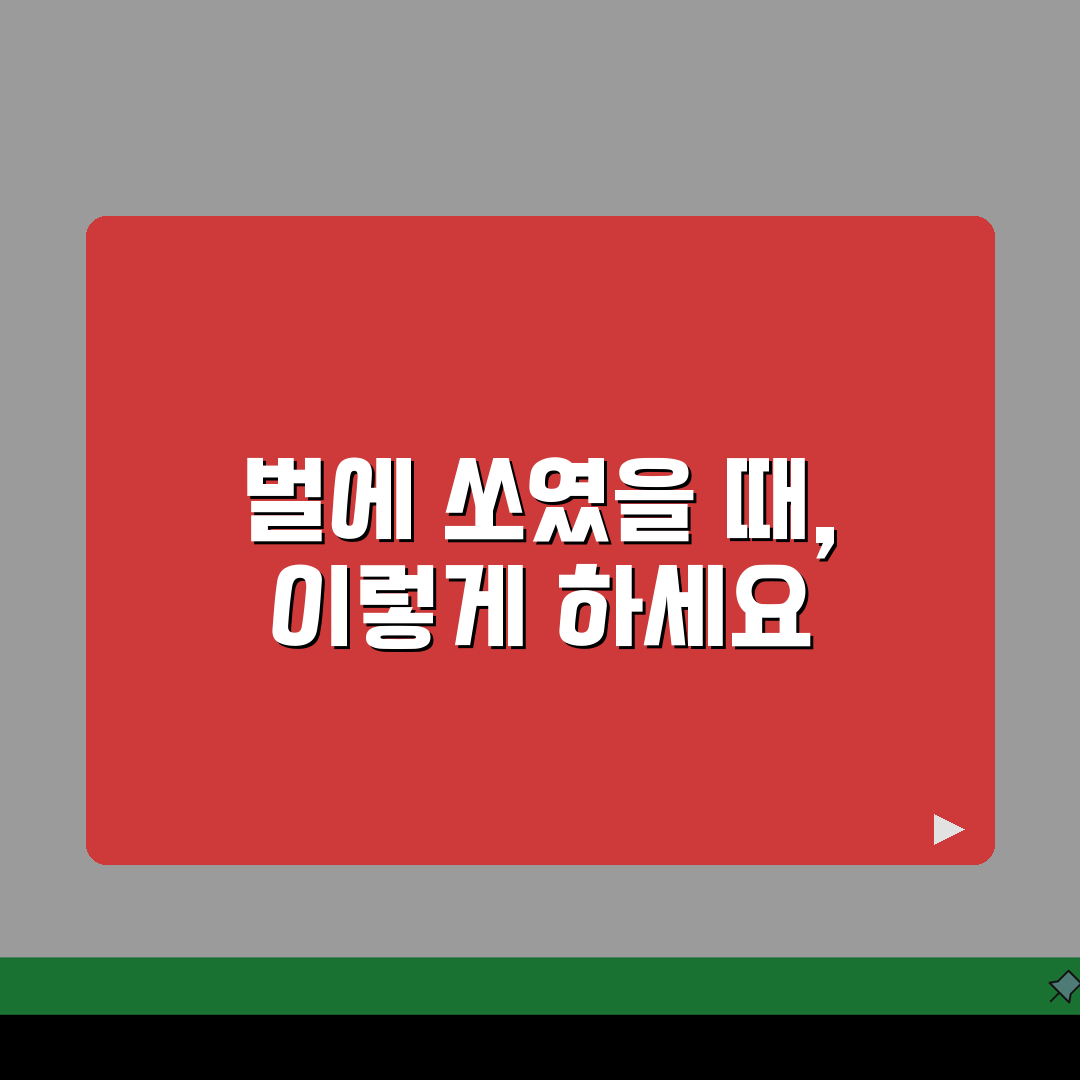 벌에 쏘였을 때 부어오르면? 알레르기 vs 정상 반응 구분법