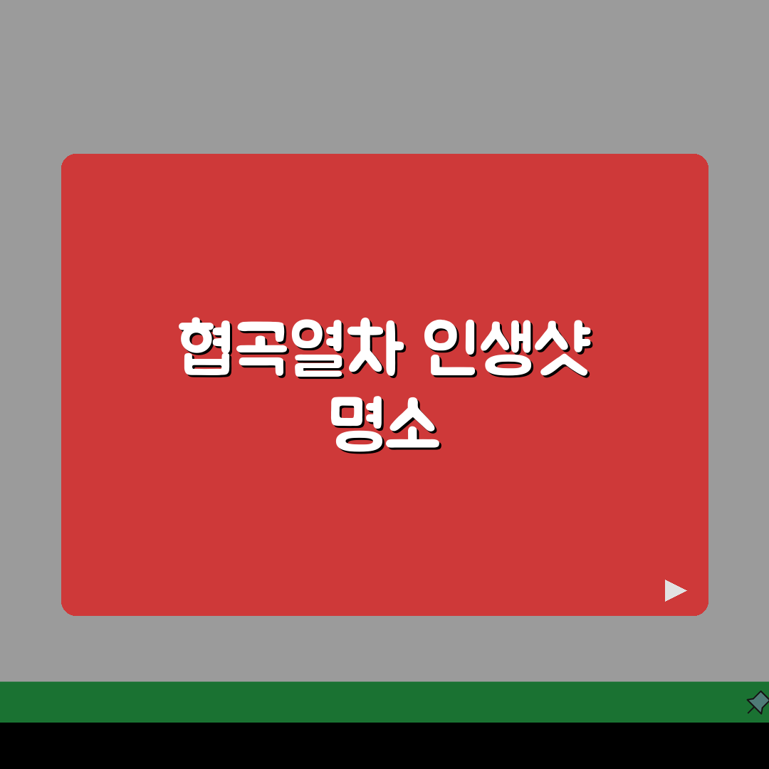 백두대간 협곡열차 베스트 촬영 포인트 | 인생샷 남기는 정확한 위치 공유해요!